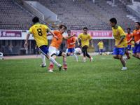 上海玄鸟VS香港金牛分析推荐NBL(中)联赛香港金牛vs武汉锟鹏历史对阵