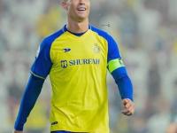 上海玄鸟VS香港金牛分析推荐原创首赛季冲冠？NBL新军上海玄鸟首赛季，晋级总决赛，什么来头？